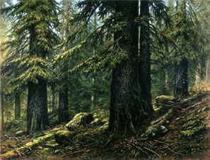Ludek Pesek -  Space Artist - West Coast Forest Scene
